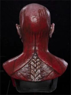 "Bloody Flayed Frank" Silicone Mask -Halloween Mask Store bloody flayed frank silicone mask 8671260225
