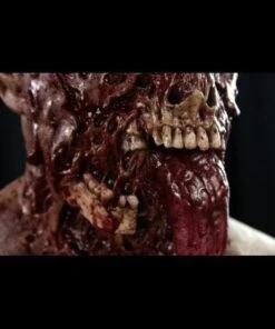 "Buckshot The Zombie" Silicone Mask -Halloween Mask Store buckshot the zombie silicone halloween mask 8671349185