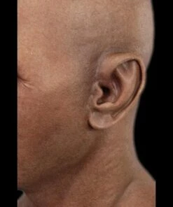 "Derek" Silicone Mask -Halloween Mask Store derek silicone halloween mask 8672072577