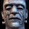 "House Of Frankenstein" Mask