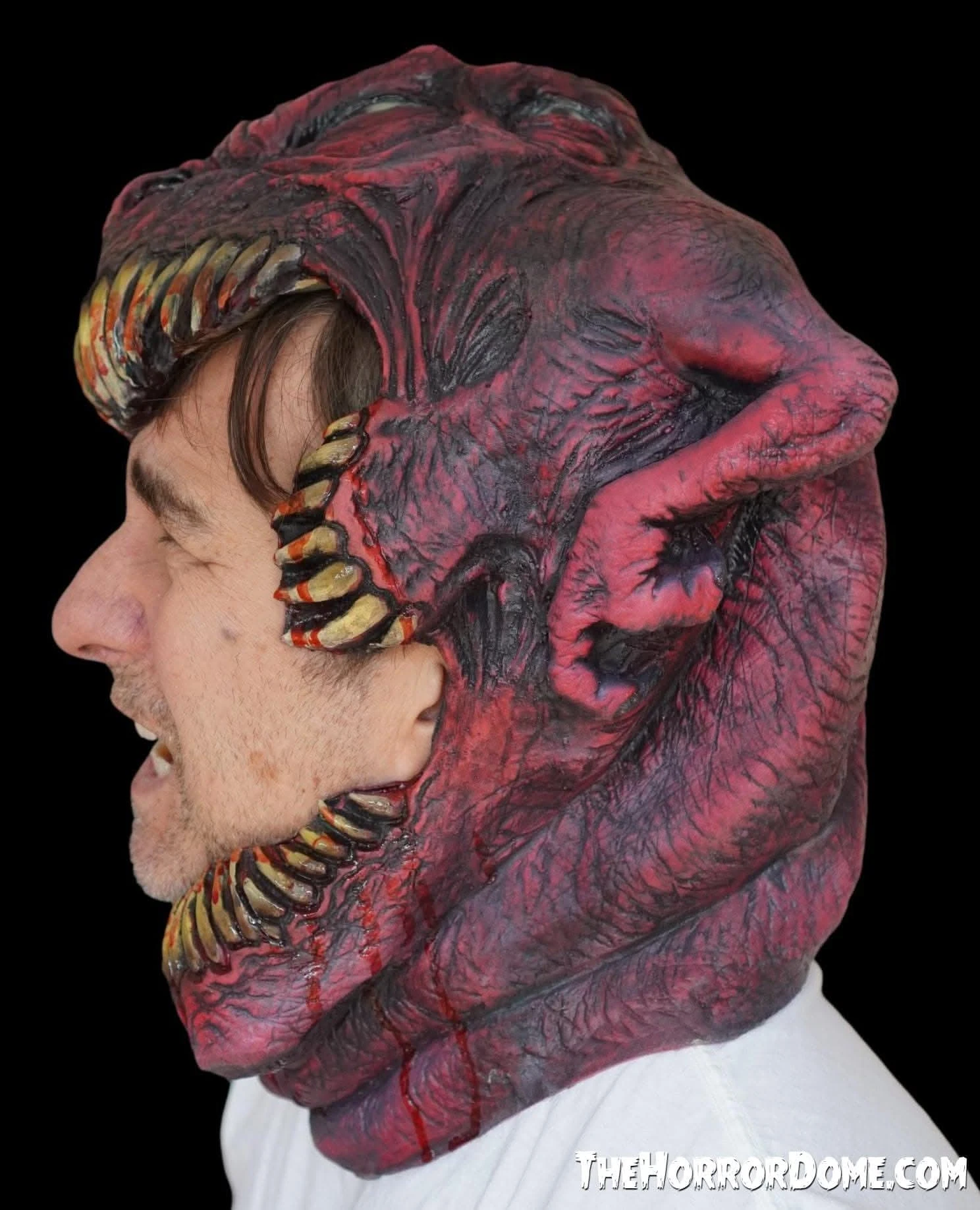 " The Head Chomper" HD Studios Pro Mask 7 " The Head Chomper" HD Studios Pro Mask - Image 7