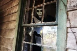 "Night Drifter" HD Studios Pro Mask -Halloween Mask Store night drifter hd studios pro halloween mask 28425517662256