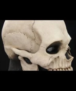 "Skull Hood" Silicone Mask -Halloween Mask Store skull hood silicone halloween mask 20360423169