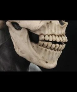 "Skull Hood" Silicone Mask -Halloween Mask Store skull hood silicone halloween mask 20360423297